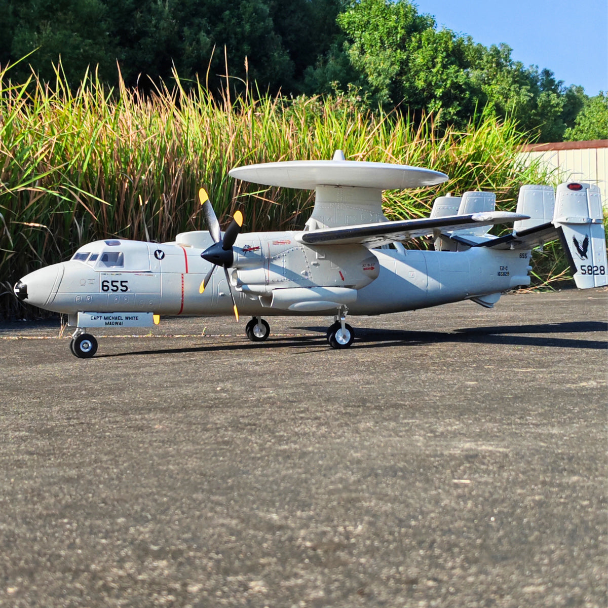 🌟🎉 Neuerscheinung! Jetzt vorbestellen: Dynam E-2C Hawkeye AEW 1500mm Zweimotoriges RC-Flugzeug mit 360° drehbarem Radar