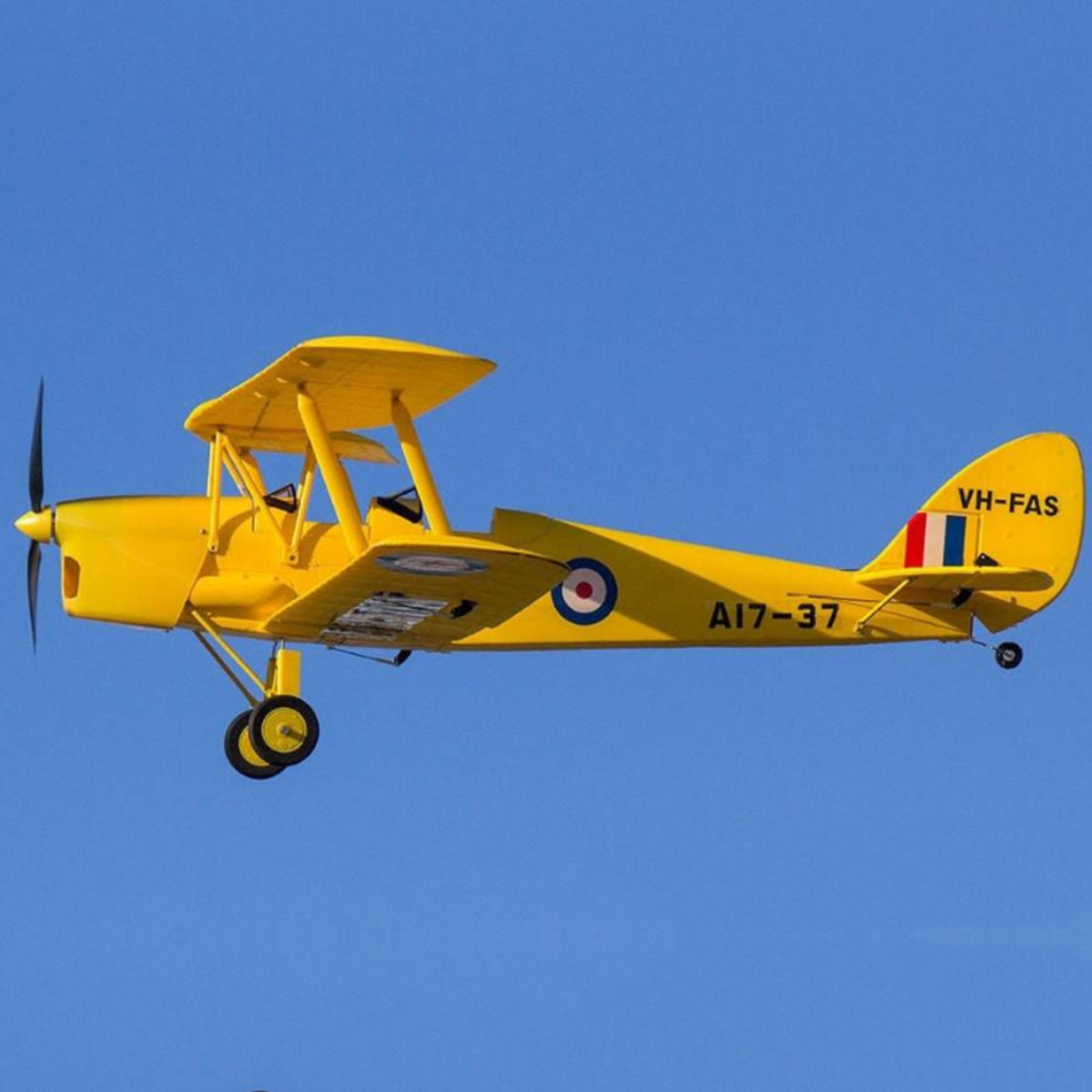 Dynam-Tiger-Moth-DH-82-V2-Yellow-4S-RC-Remote-Control-Biplanes-1300mm-Wingspan-PNP-SPNP-BNF-RTF-6C-DY8957YL_3