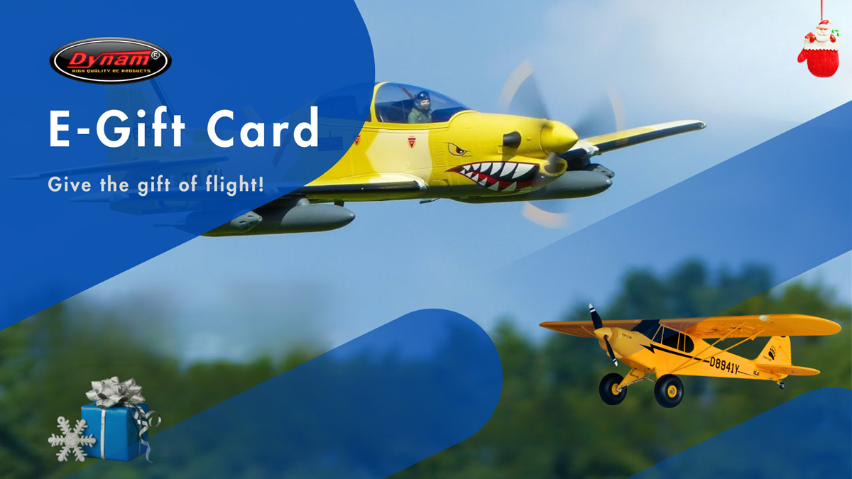 DYNAM E-Gift Card – Share the Joy of Flying