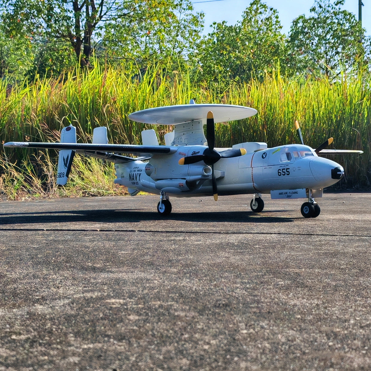 🌟🎉 Neuerscheinung! Jetzt vorbestellen: Dynam E-2C Hawkeye AEW 1500mm Zweimotoriges RC-Flugzeug mit 360° drehbarem Radar