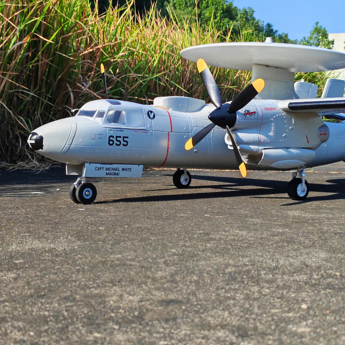 🌟🎉 Neuerscheinung! Jetzt vorbestellen: Dynam E-2C Hawkeye AEW 1500mm Zweimotoriges RC-Flugzeug mit 360° drehbarem Radar